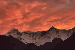 IMG-20211122-WA0069