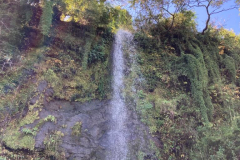 IMG-20221102-WA0048
