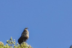 IMG-20221125-WA0001