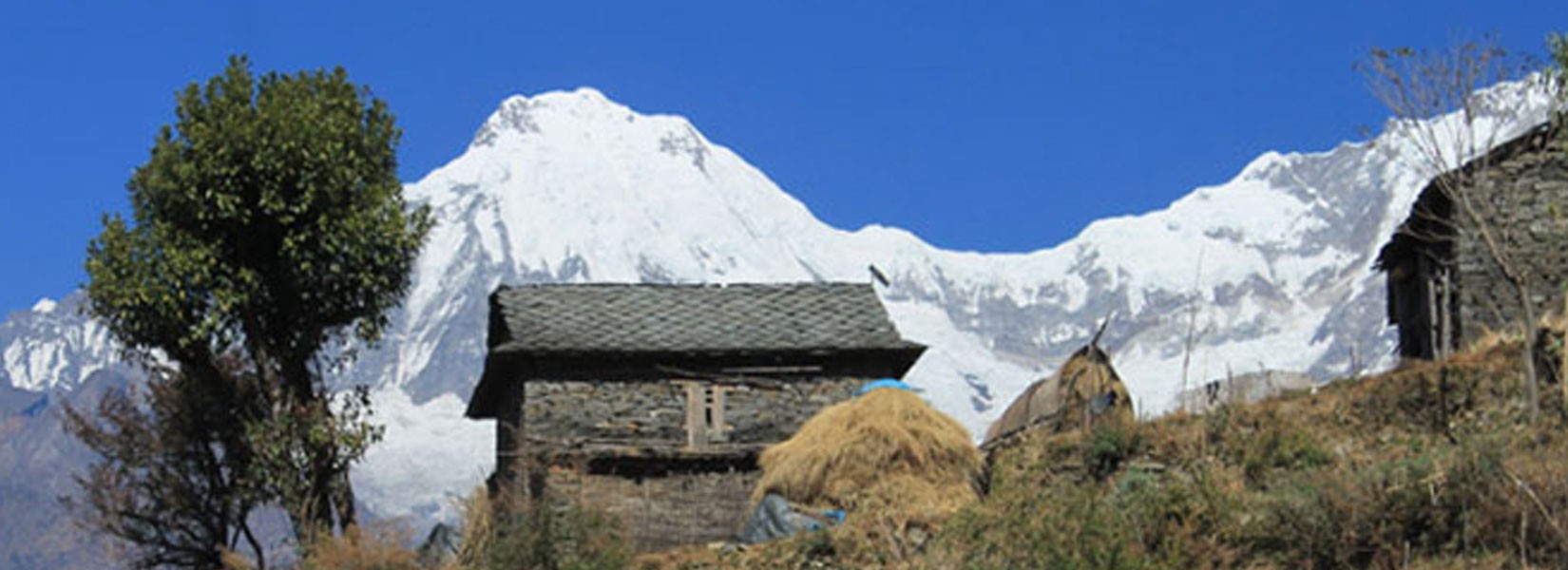 Ganesh Himal Massif Trek